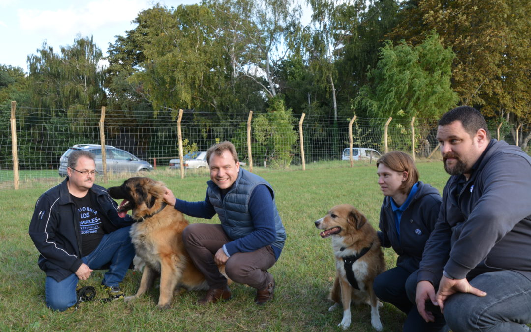 Hundewiese eröffnet