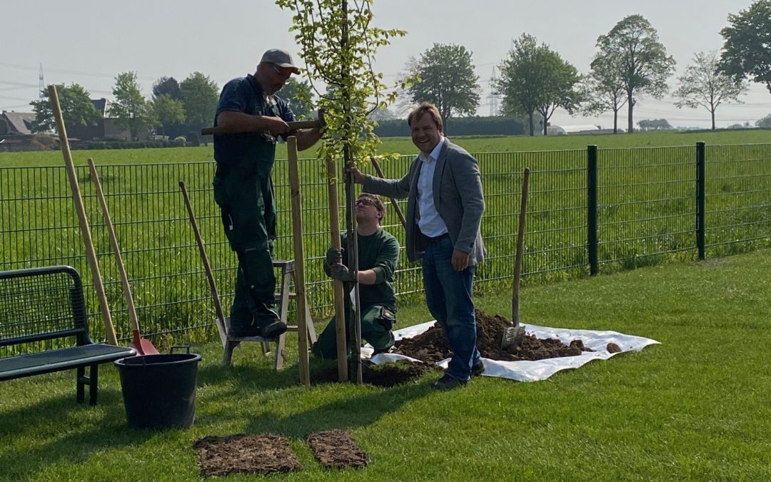 Gemeinde Rommerskirchen wird noch „grüner“ – Pflanzung von 5200 neuen Bäumen