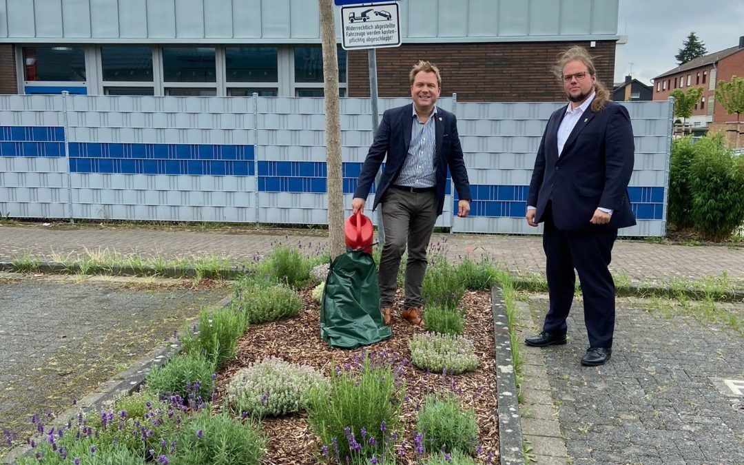 Gießsäcke für Bäume sind kostenlos im Tiefbauamt erhältlich