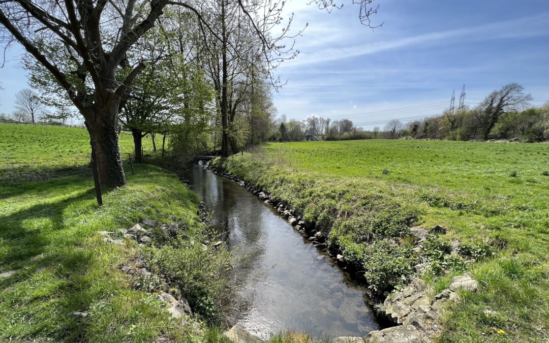 Zwischen Geschichte und Natur: Die Gillbachaue lädt zum Entdecken ein