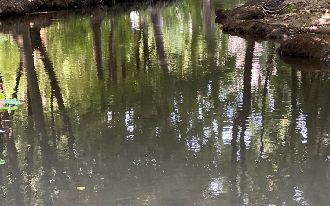 Ein Bach, der Generationen verbindet: Gillbach-Wanderweg & Gillbach-Erzählpfad