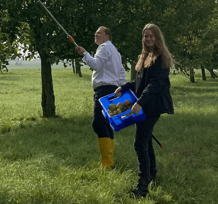 Ernte auf gemeindeeigenen Streuobstwiesen hat begonnen – Bewohnerinnen und Bewohnern des Caritashaus St. Elisabeth kochen jetzt Apfelmus