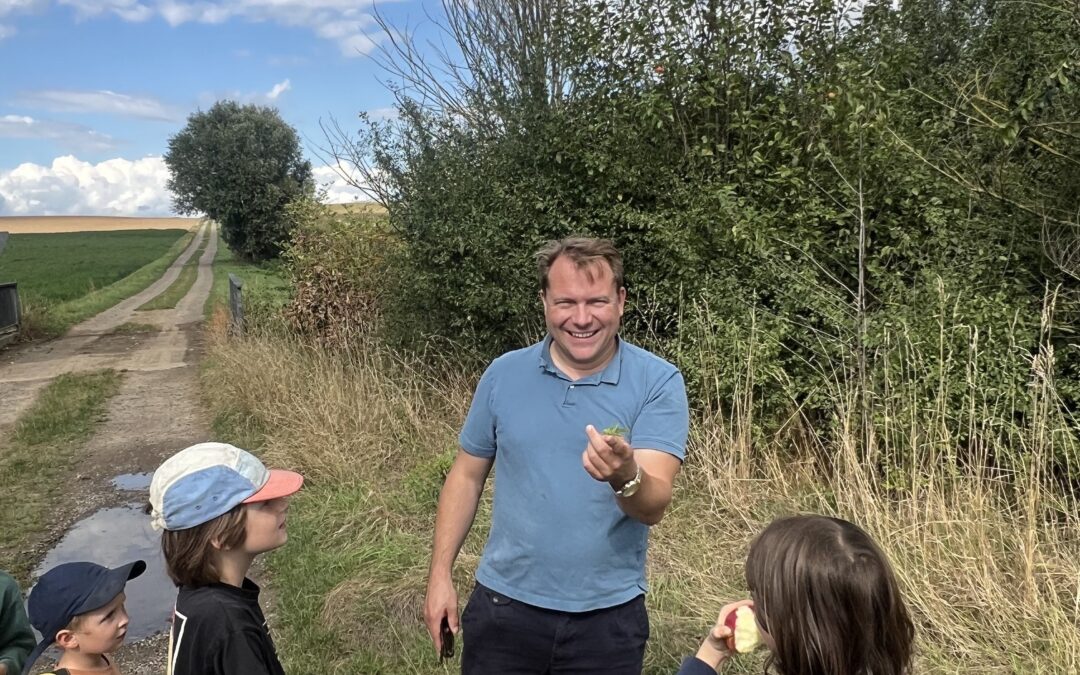 Von Käferrennen, Heupferden und Laufkäfern – zweite Insektenführung in Rommerskirchen