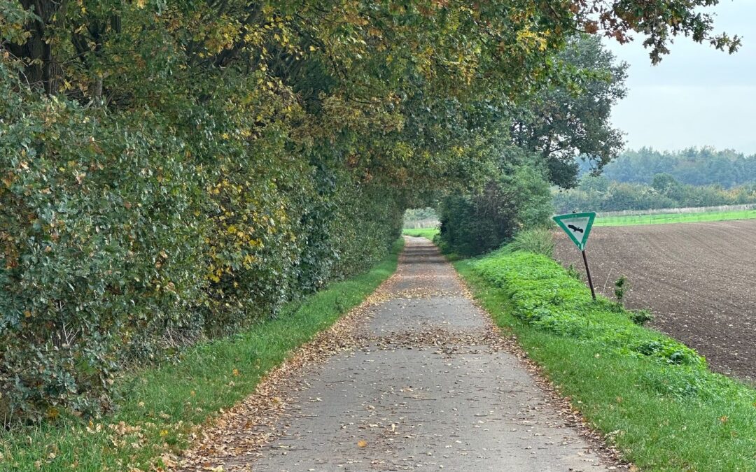 Ausflugstipps im Herbst: Heimat entdecken – Naturgenießen – Gemeinschaft erleben