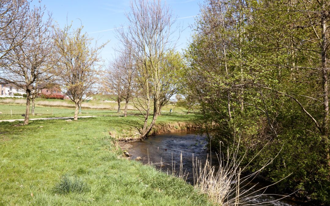 Zukunft des Gillbachs: Gemeinde setzt auf Zusammenarbeit und tragfähige Lösungen