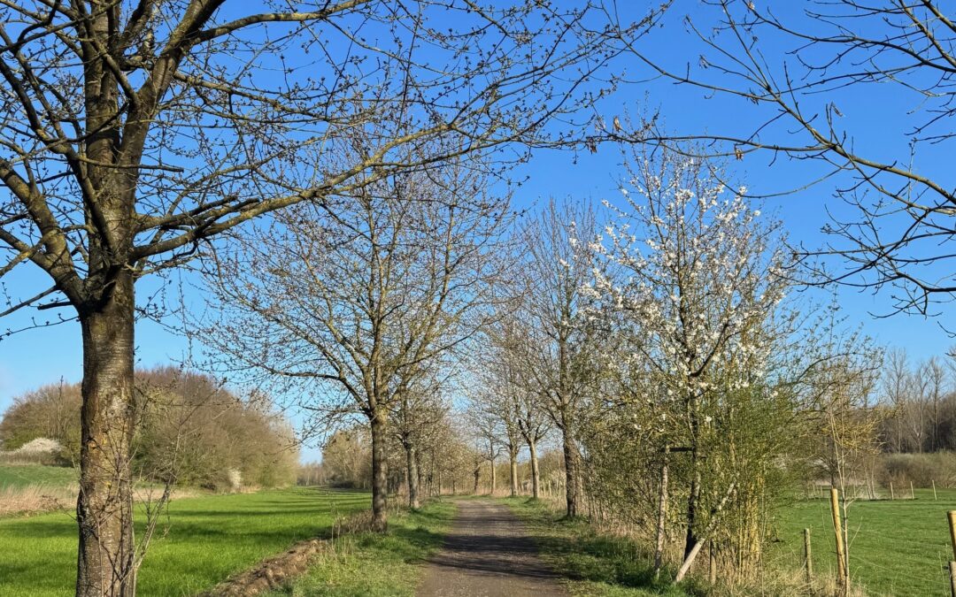 Frühlingshafte Einladung zum Osterspaziergang durch den Butzheimer Bruch