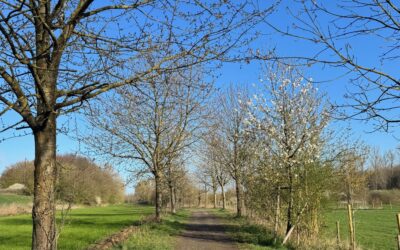 Frühlingshafte Einladung zum Osterspaziergang durch den Butzheimer Bruch