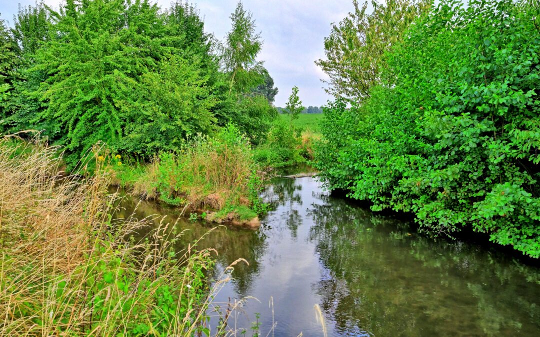 Sommerferien zu Hause?  Dann entdecken Sie den Gillbach neu!