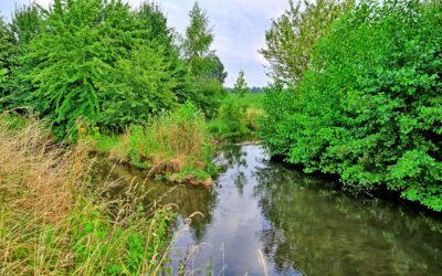 Sommerferien zu Hause? Dann entdecken Sie den Gillbach neu!