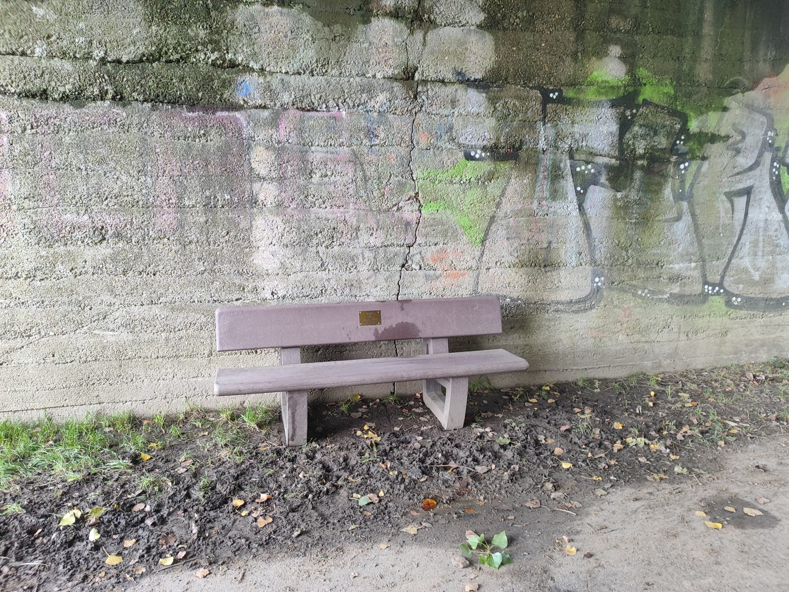 Bank-Bahndamm-scaled.jpg